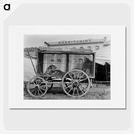 2-17_The-Burton-Brothers_picture