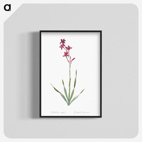2-17_The-Lilies_blk-crop