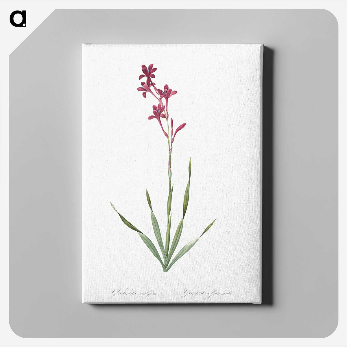 2-17_The-Lilies_canvas