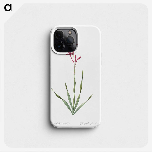 2-17_The-Lilies_phone