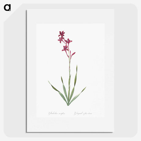2-17_The-Lilies_picture