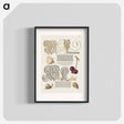アートポスター-Butterfly, Sweet Cherry, and Land Snails from Mira Calligraphiae Monumenta
 - 書道のお手本 Poster.