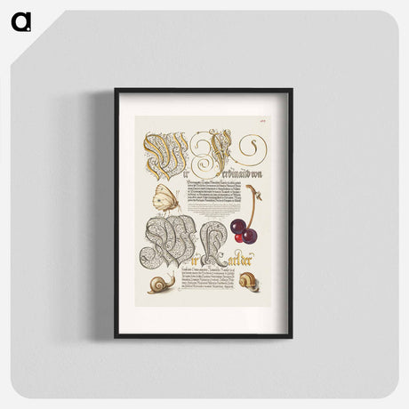 アートポスター-Butterfly, Sweet Cherry, and Land Snails from Mira Calligraphiae Monumenta
 - 書道のお手本 Poster.