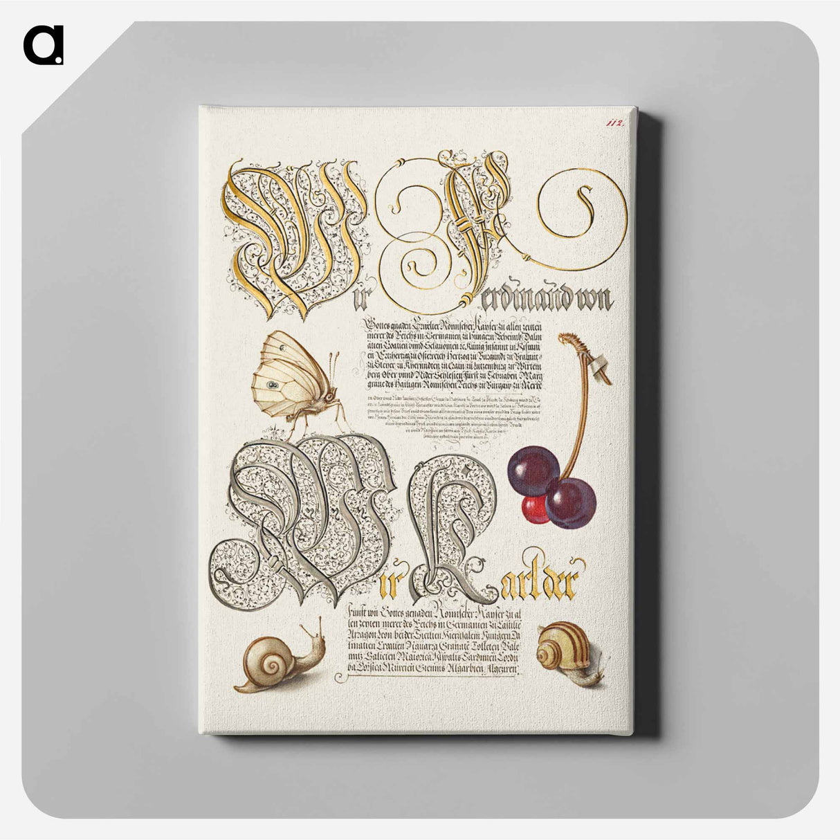 アートパネル-Butterfly, Sweet Cherry, and Land Snails from Mira Calligraphiae Monumenta
 - 書道のお手本 Canvas.