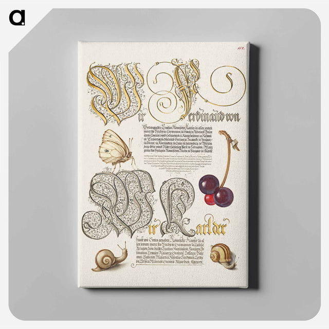 アートパネル-Butterfly, Sweet Cherry, and Land Snails from Mira Calligraphiae Monumenta
 - 書道のお手本 Canvas.