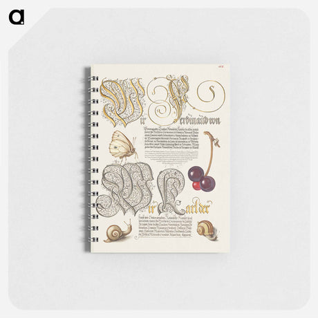 アートメモ帳-Butterfly, Sweet Cherry, and Land Snails from Mira Calligraphiae Monumenta
 - 書道のお手本 Memo.