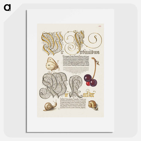 アートポスター-Butterfly, Sweet Cherry, and Land Snails from Mira Calligraphiae Monumenta
 - 書道のお手本 Poster.