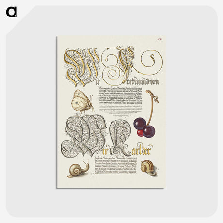 2-17_The-Model-Book-of-Calligraphy_postcard