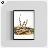 2-17_The-Viviparous-Quadrupeds_blk-crop