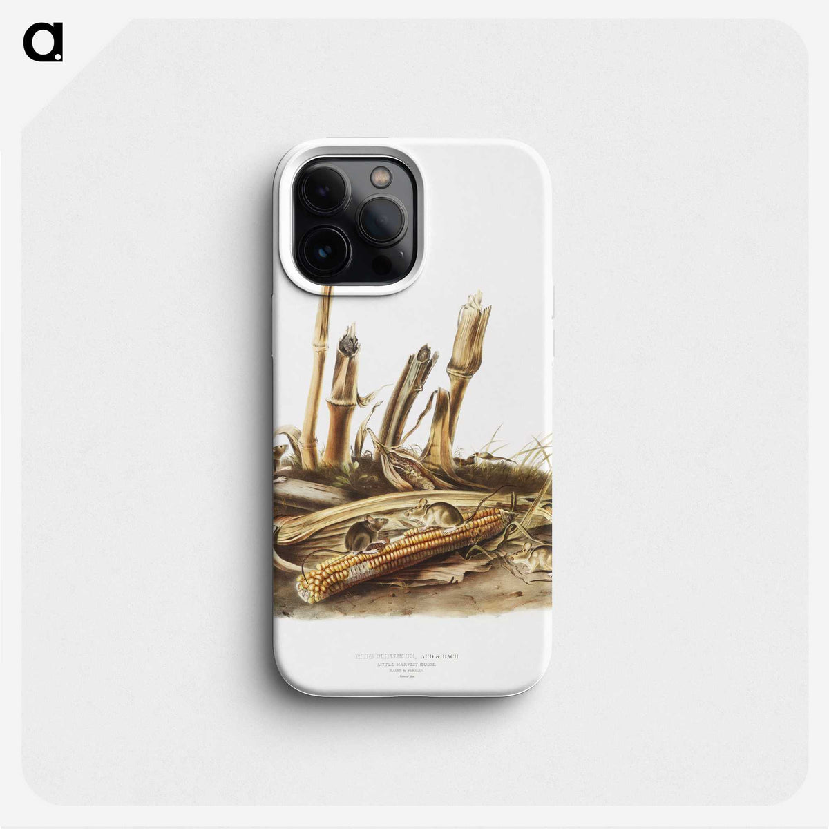 2-17_The-Viviparous-Quadrupeds_phone