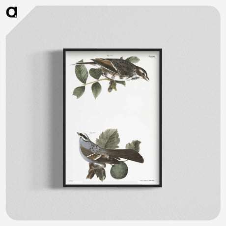 2-17_Zoology-of-New-York_blk-crop