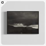 2-18_Alfred-Stieglitz_blk-crop