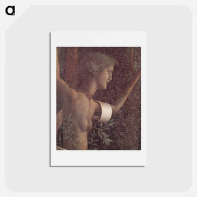 アートポストカード-The victory of virtue - アンドレア マンテーニャ Postcard.