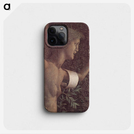 2-18_Andrea-Mantegna_phone