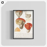 2-18_Anselmus-Boetius-de-Boodt_blk-crop