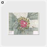 アートポストカード-Plattegrond van Béthune - アンティーク地図 Postcard.