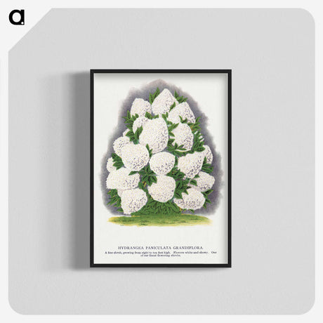 2-18_Botanical-Specimen-Plates_blk-crop