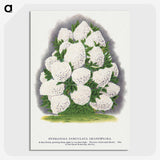 2-18_Botanical-Specimen-Plates_picture-crop