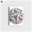 2-18_COVID-19_memo
