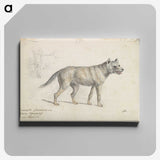 2-18_Charles-Hamilton-Smith_canvas