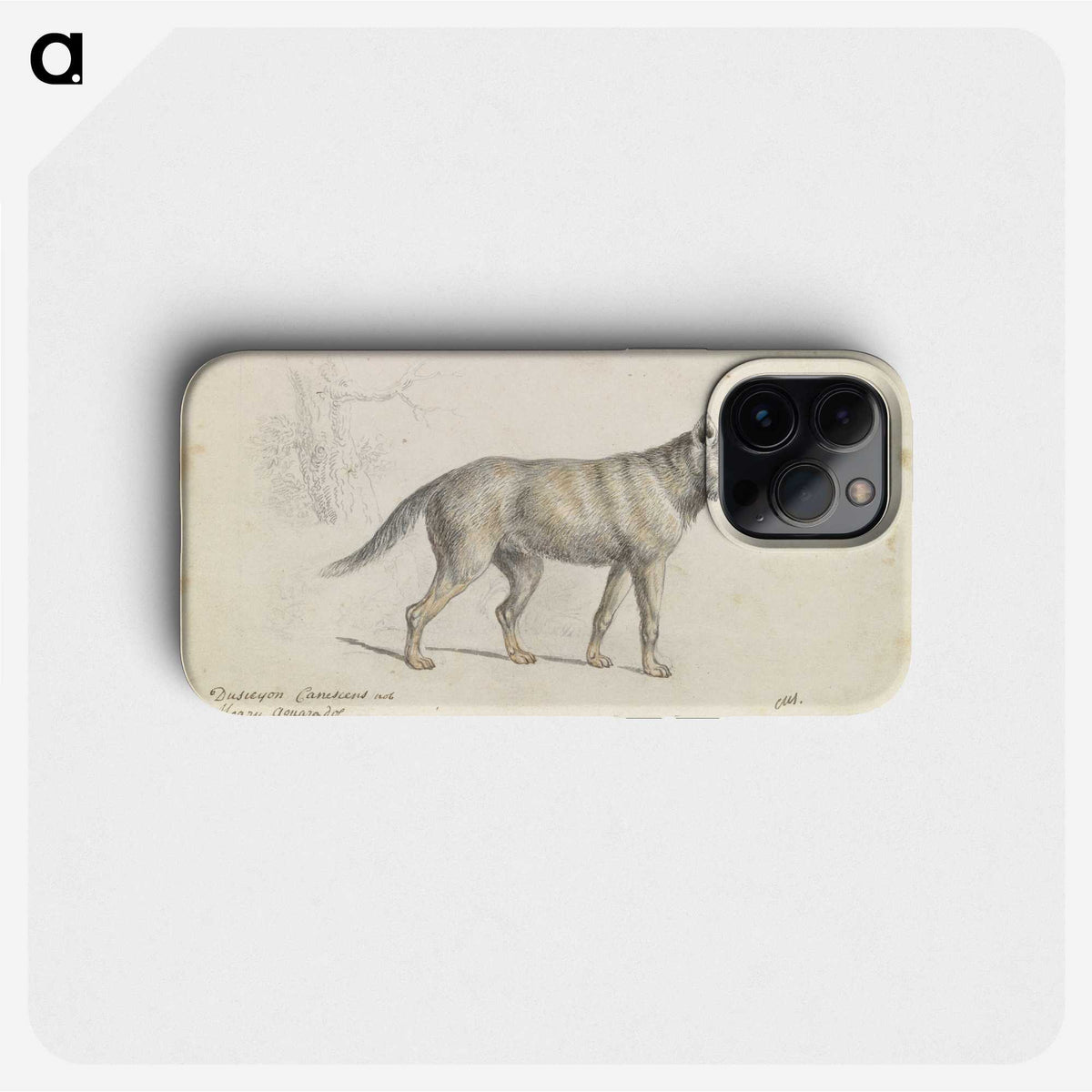 2-18_Charles-Hamilton-Smith_phone
