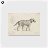 2-18_Charles-Hamilton-Smith_postcard
