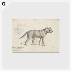 2-18_Charles-Hamilton-Smith_postcard