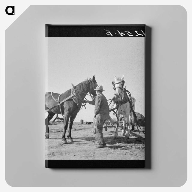 2-18_Dorothea-Lange_canvas