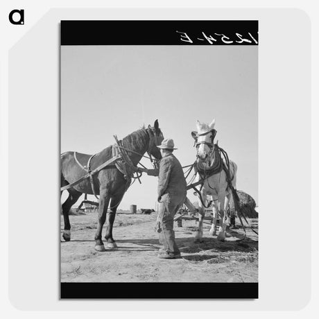 2-18_Dorothea-Lange_picture-crop