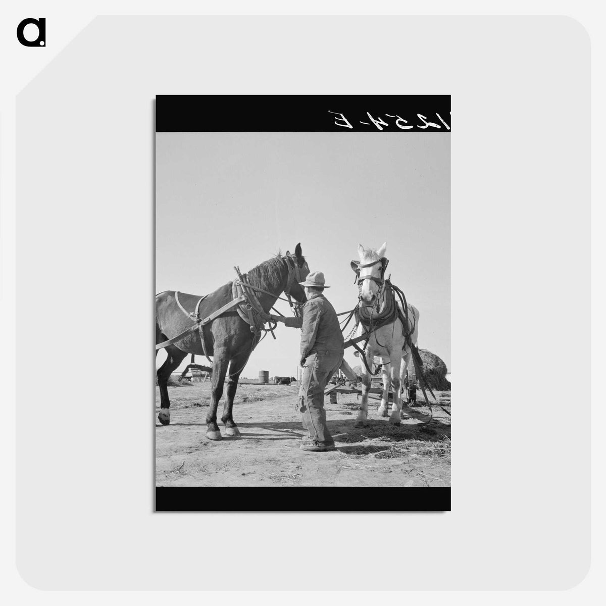 2-18_Dorothea-Lange_postcard