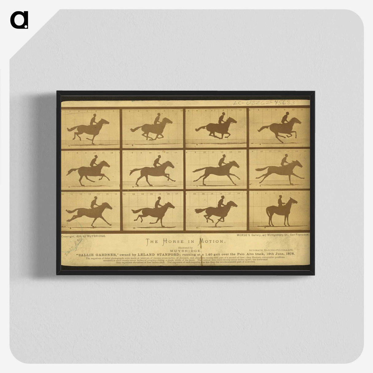 2-18_Eadweard-Muybridge_blk-crop
