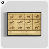 2-18_Eadweard-Muybridge_blk-crop