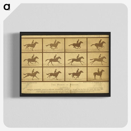 2-18_Eadweard-Muybridge_blk-crop