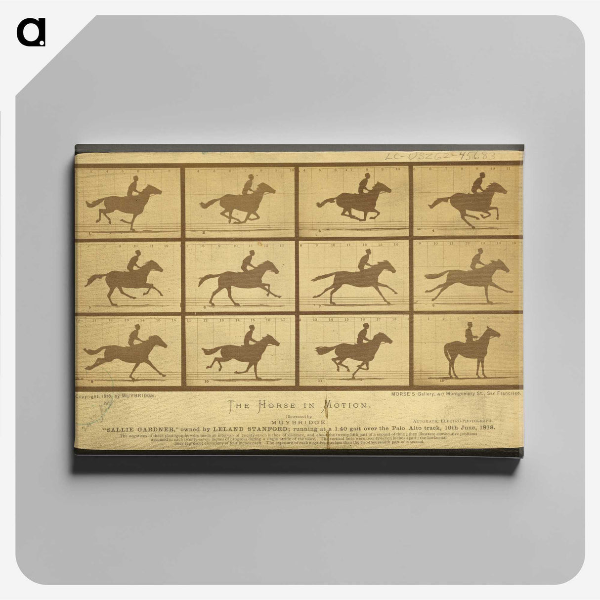 2-18_Eadweard-Muybridge_canvas