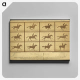 2-18_Eadweard-Muybridge_canvas