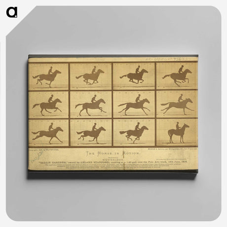 2-18_Eadweard-Muybridge_canvas