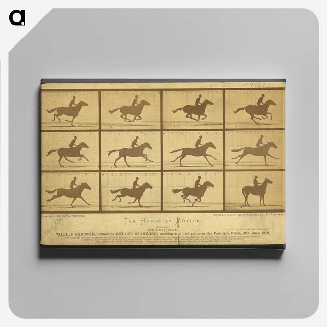 2-18_Eadweard-Muybridge_canvas
