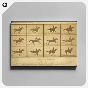 アートパネル-The Horse in Motion
 - エドワード マイブリッジ Canvas.