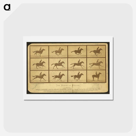 アートポストカード-The Horse in Motion
 - エドワード マイブリッジ Postcard.