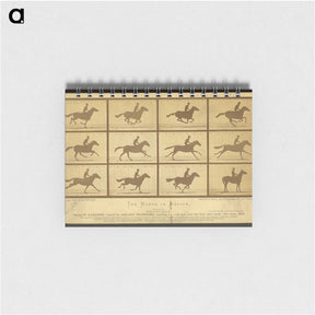 2-18_Eadweard-Muybridge_memo