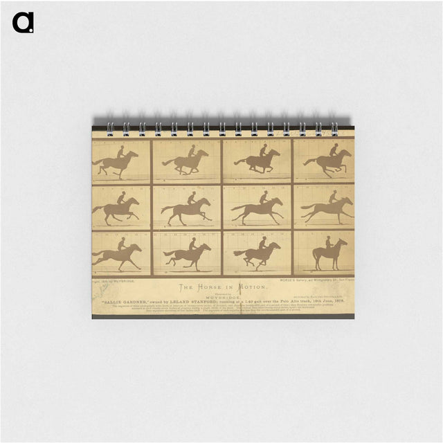 2-18_Eadweard-Muybridge_memo