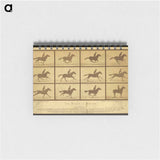 アートメモ帳-The Horse in Motion
 - エドワード マイブリッジ Memo.