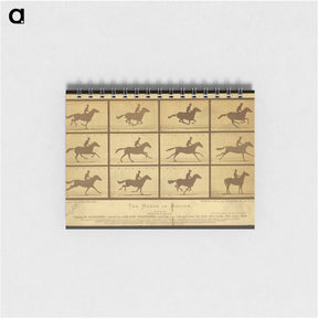 アートメモ帳-The Horse in Motion
 - エドワード マイブリッジ Memo.