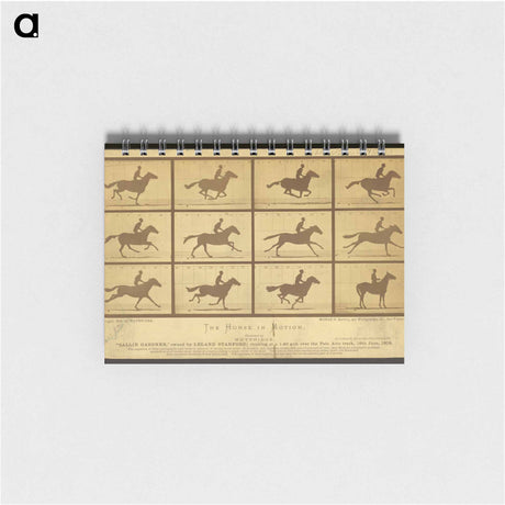 アートメモ帳-The Horse in Motion
 - エドワード マイブリッジ Memo.