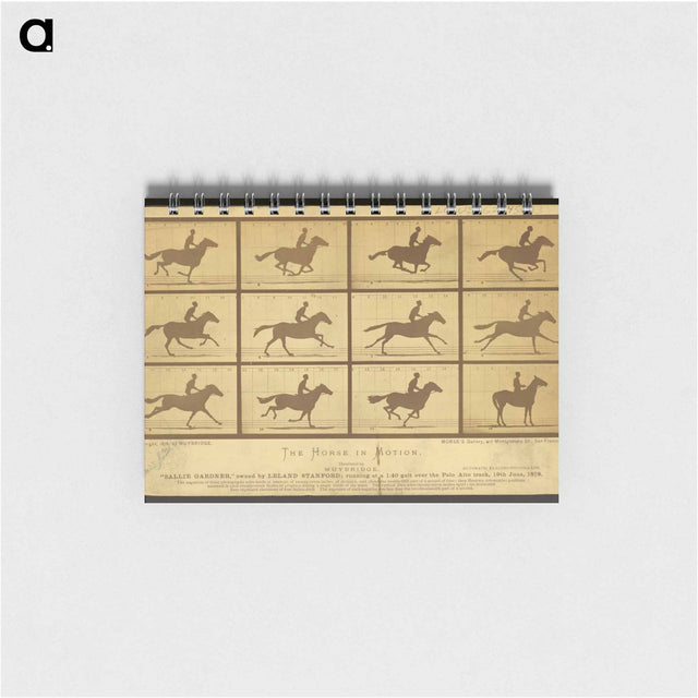 アートメモ帳-The Horse in Motion
 - エドワード マイブリッジ Memo.