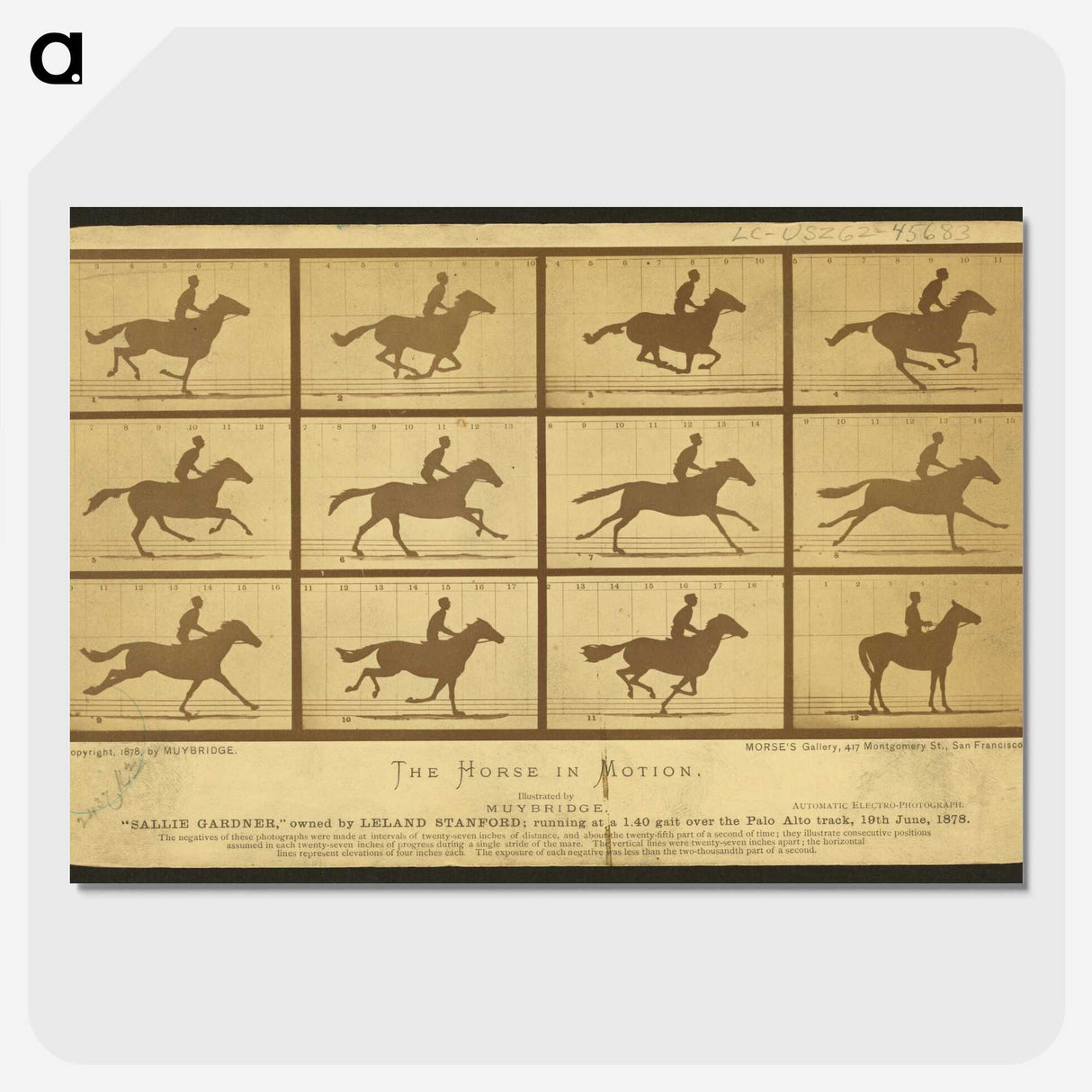 2-18_Eadweard-Muybridge_picture-crop