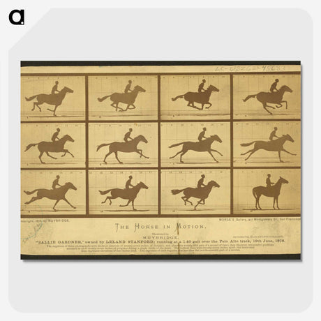 2-18_Eadweard-Muybridge_picture-crop