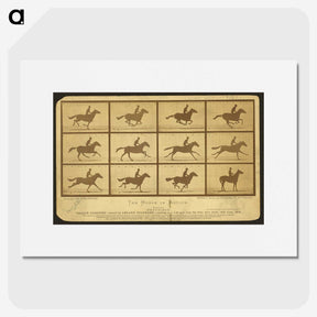 2-18_Eadweard-Muybridge_picture