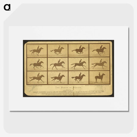 2-18_Eadweard-Muybridge_picture