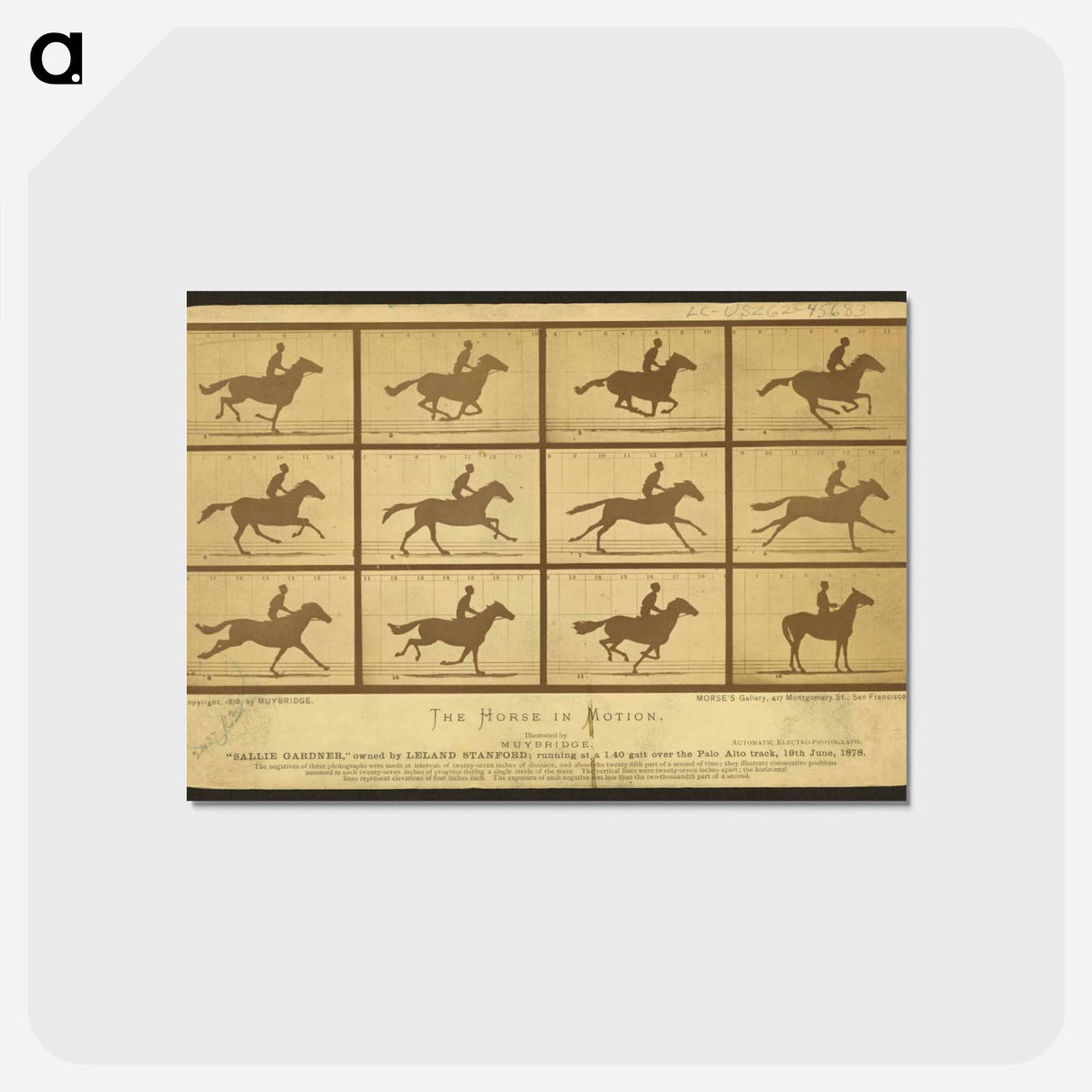 アートポストカード-The Horse in Motion
 - エドワード マイブリッジ Postcard.